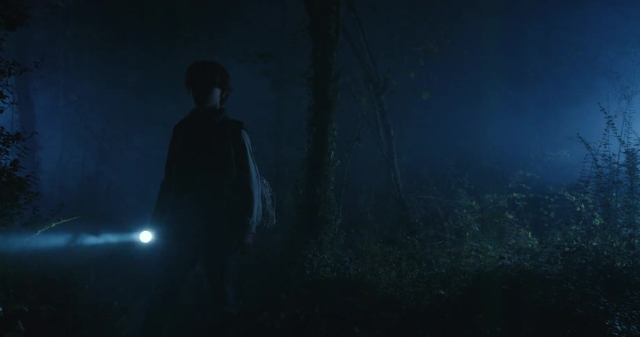 A boy stands in a dark foggy forest holding a flashlight