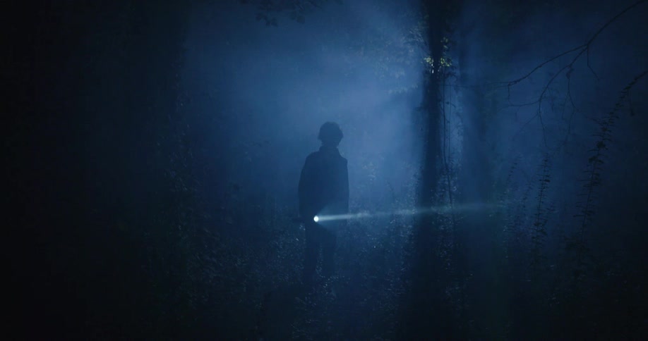 A child shines a flashlight in the foggy forest at night