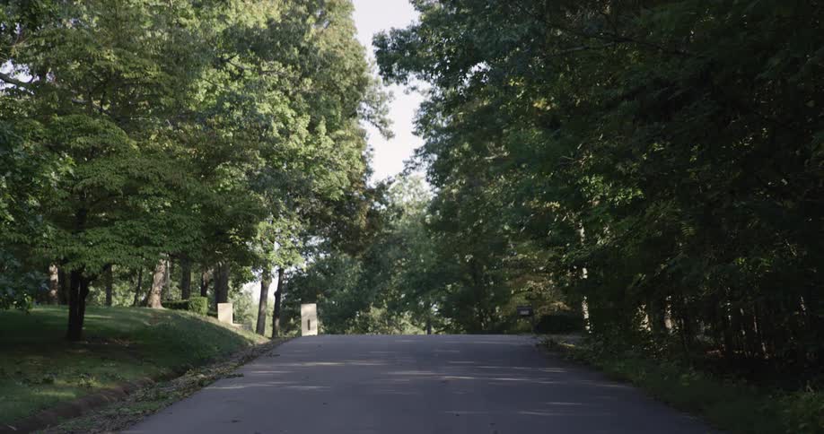 A quiet treelined suburban road curves gently uphill beneath a canopy of green foliage