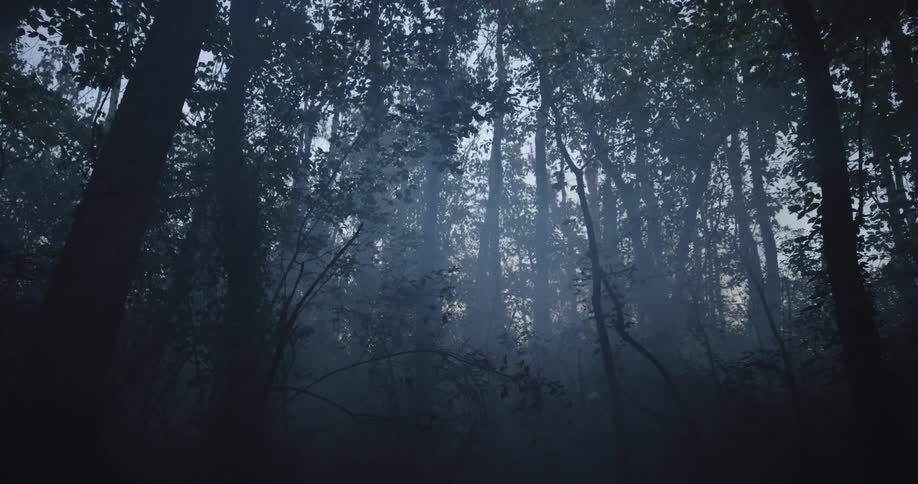 A person in a hoodie runs through a dark foggy forest