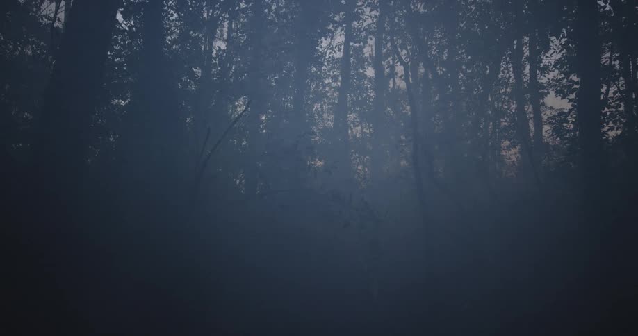 A person runs fearfully through a foggy forest at dusk
