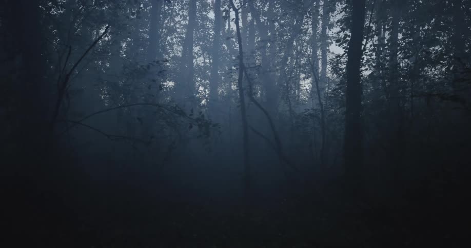 Scared teenager running through the forest covered in dense fog