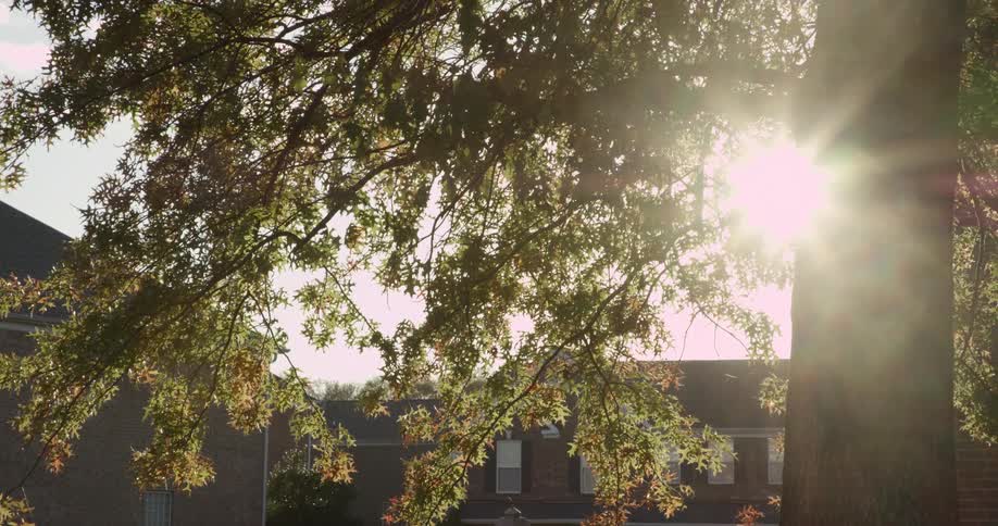 Sunlight reflected between houses and trees in a suburb