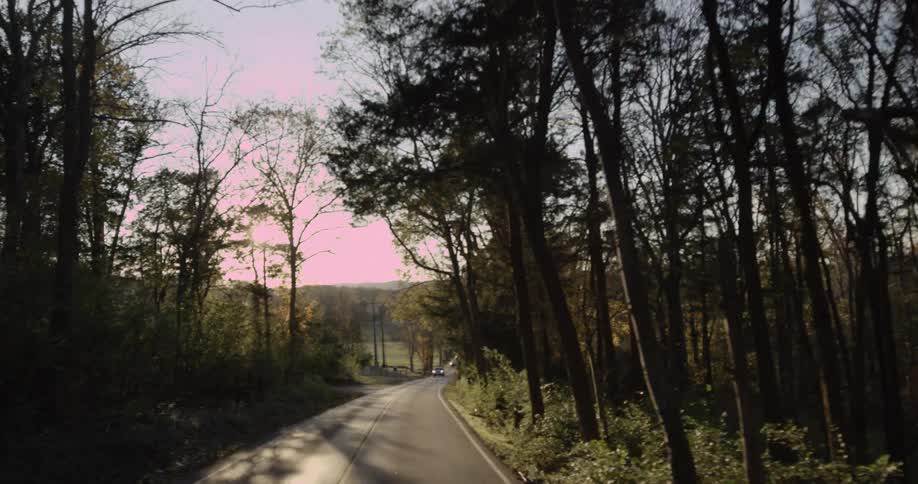 A freeway lined on both sides with trees and forest as cars pass by at midday