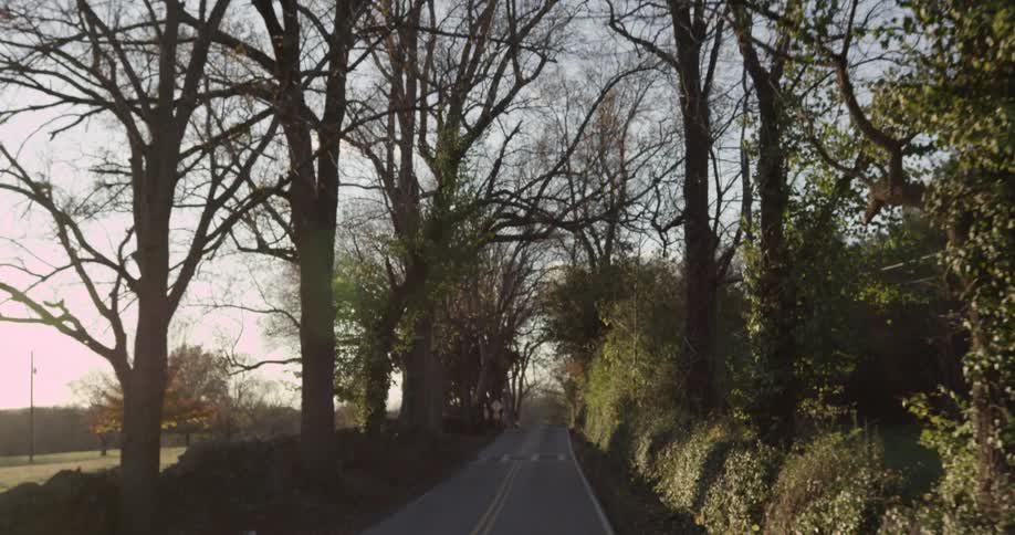 A quiet country road lined with bare trees fades into the evening light
