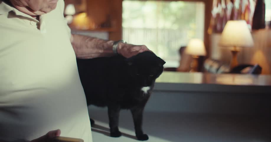 Elderly man in a room of the house petting a black cat