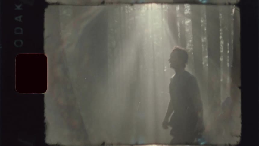 Three people walking on a forest trail