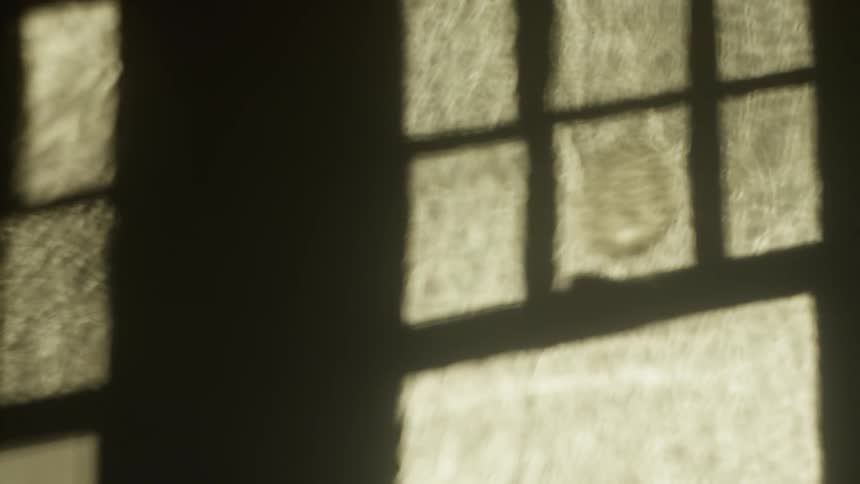 Light shines in the window