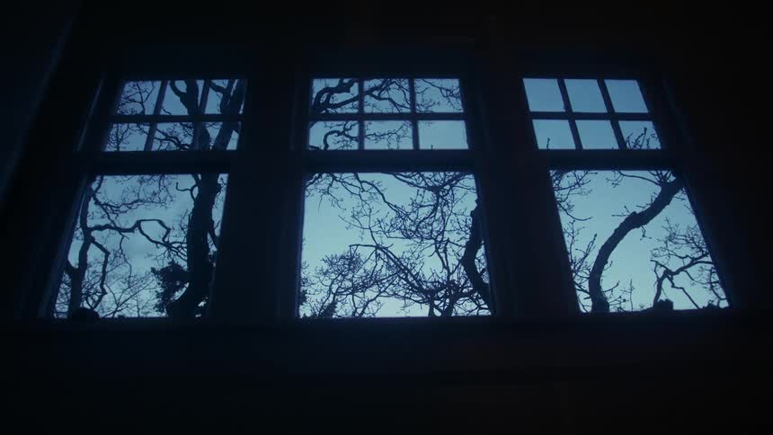 A view from an indoor glass window showing a landscape of leafless trees surrounding the building early in the morning