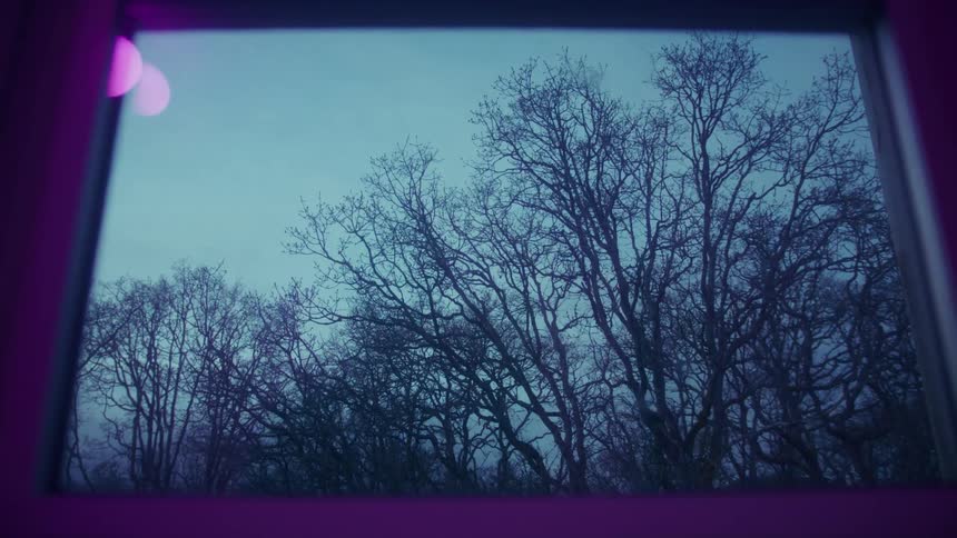 Trees against a cloudy sky seen through a window