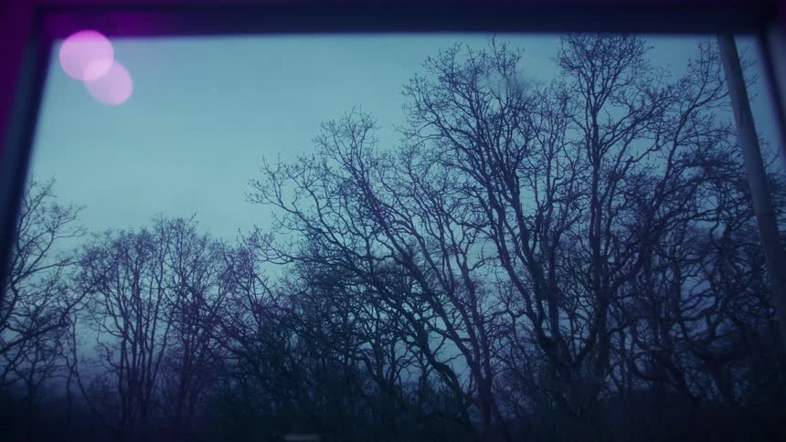 Through a building window a series of leafless trees is visible in the middle of the night