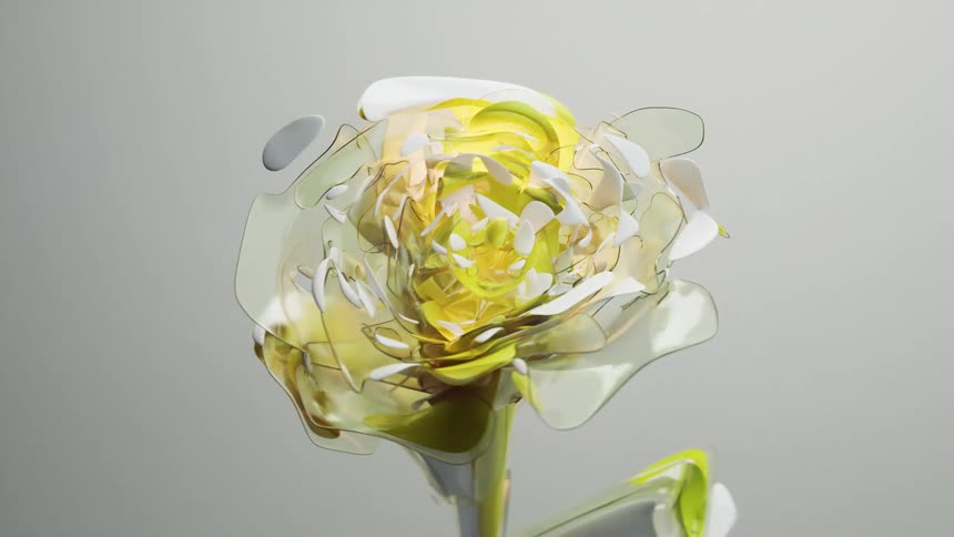 Abstract flower changing colors against a gray background