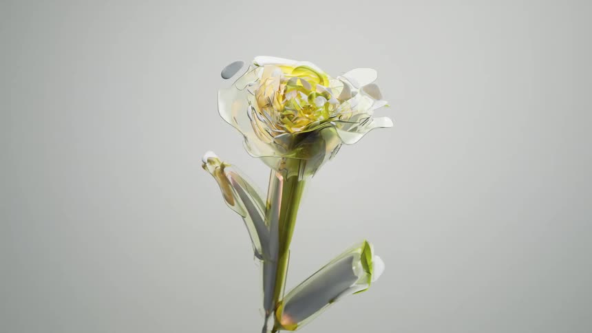 Abstract flower changing colors against a neutral gray background
