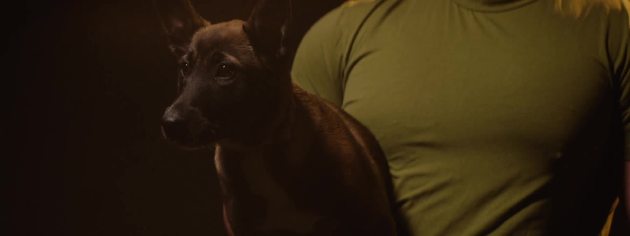 A dog wearing a collar lowers its head partially obscured by shadow sitting next to a smiling man