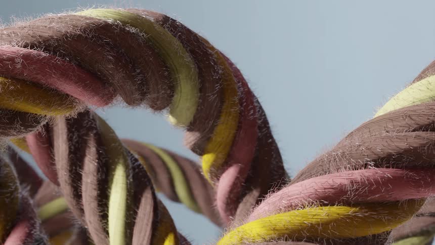 Large colorful ropes twisting and wrapping around each other into a knot