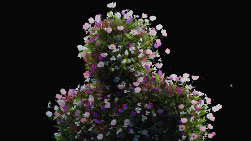 The flowers grow and shrink in the animation