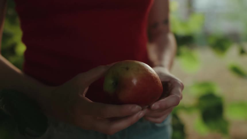 Hands holding an apple
