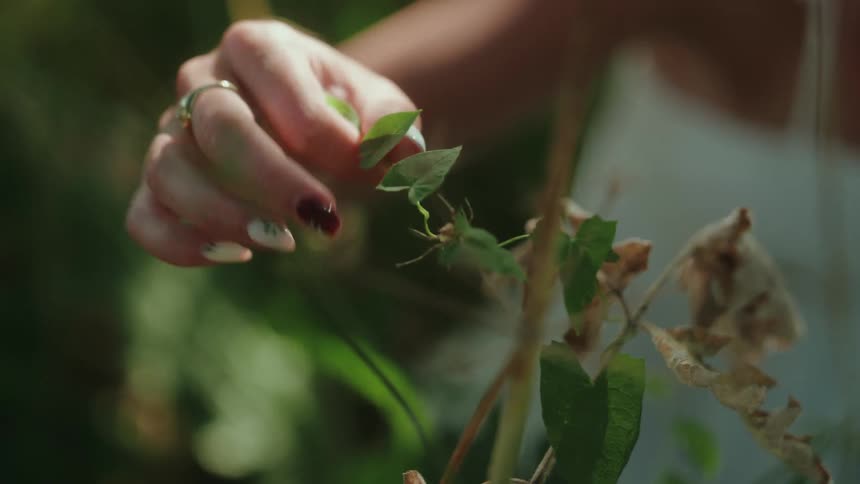 A woman holding a plant in a garden at midday wearing a ring on her finger