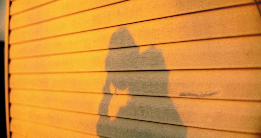 The video displays a textured wall with horizontal paneling painted in a warm goldenorange hue a dark elongated shadow of a person is cast upon the wall shifting slightly as the person moves their arm creating dynamic outlines against the bright ba