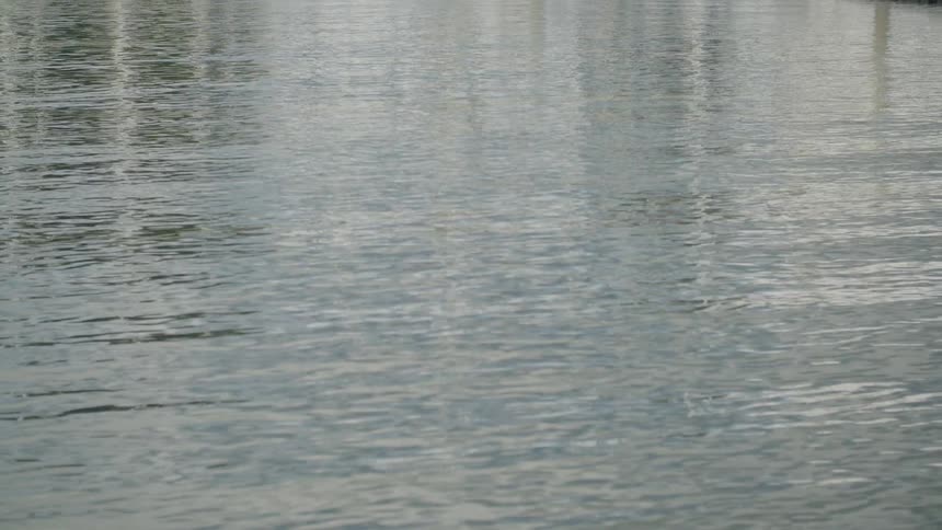 Scene of a calm lake with small ripples