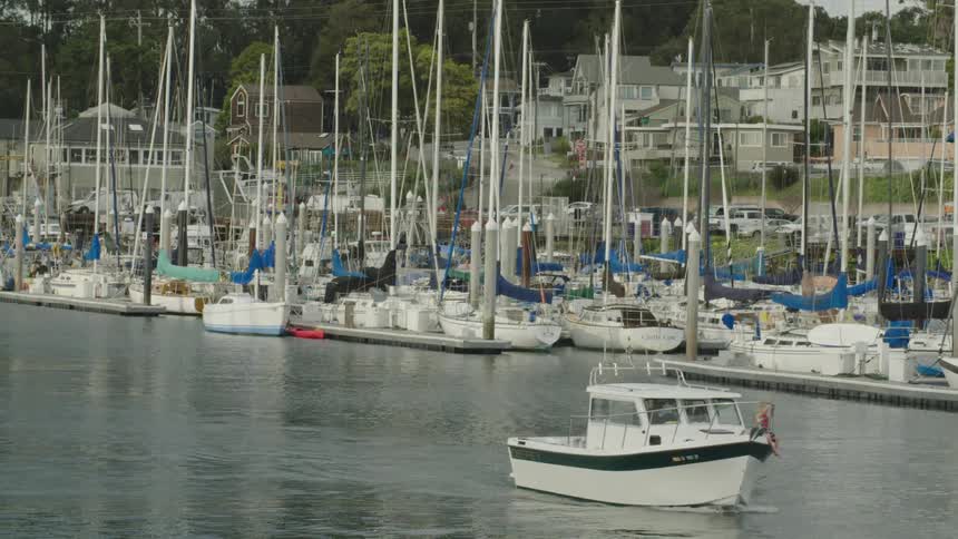 Boats and yachts parked on the edge of a lake