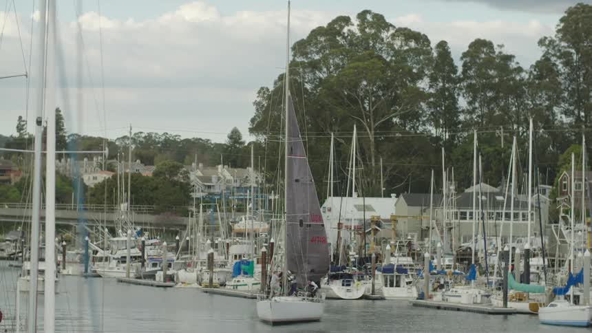 Person raising the sail of a boat in a marina with several other boats