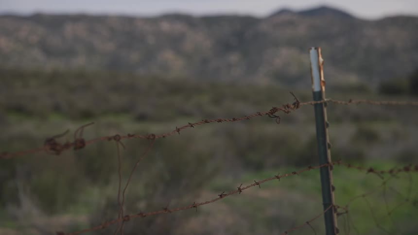 Barbed wire fence in a field with mountains in the background
