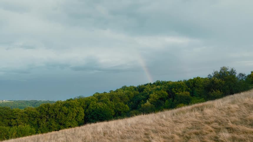 A grassy hill revealing the forest beyond at midday