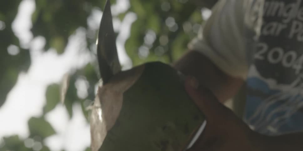Person with a knife cutting a green coconut