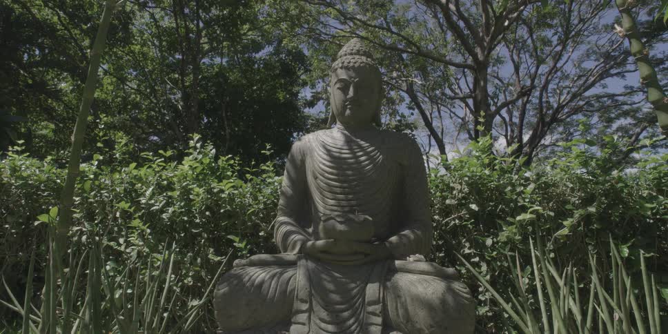 A statue of a sitting buddha in a garden