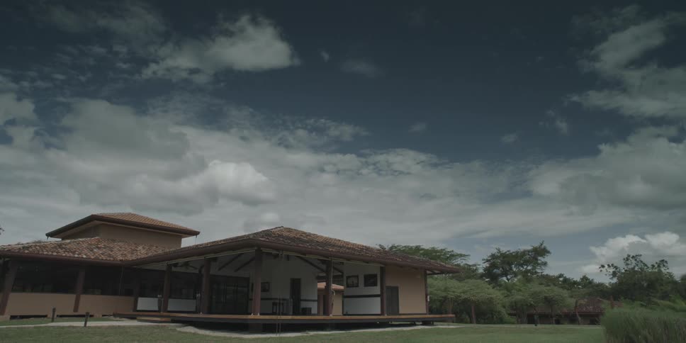 A suburban home on a windy day