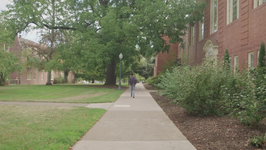 A view down a wide paved pathway and a person is walking away from the viewer in the distance down the center of the path