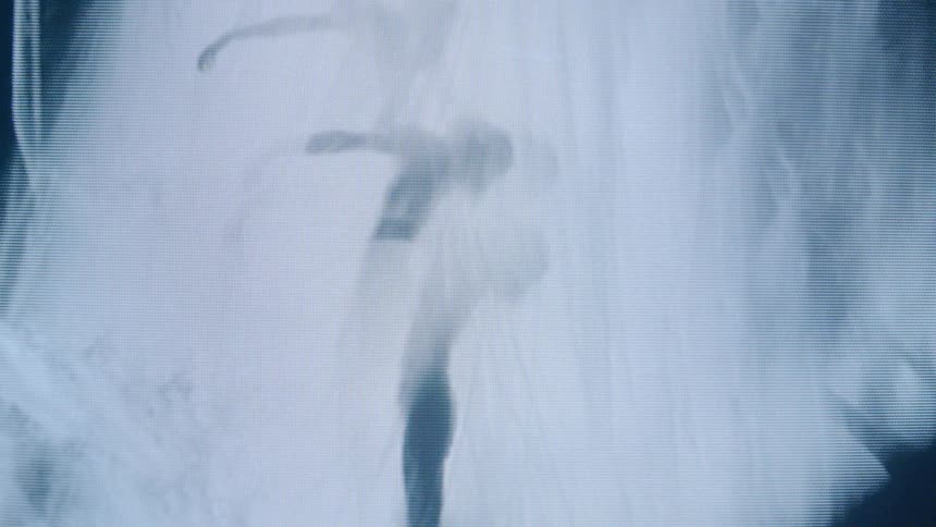 A silhouetted dancer moves gracefully behind a sheer curtain