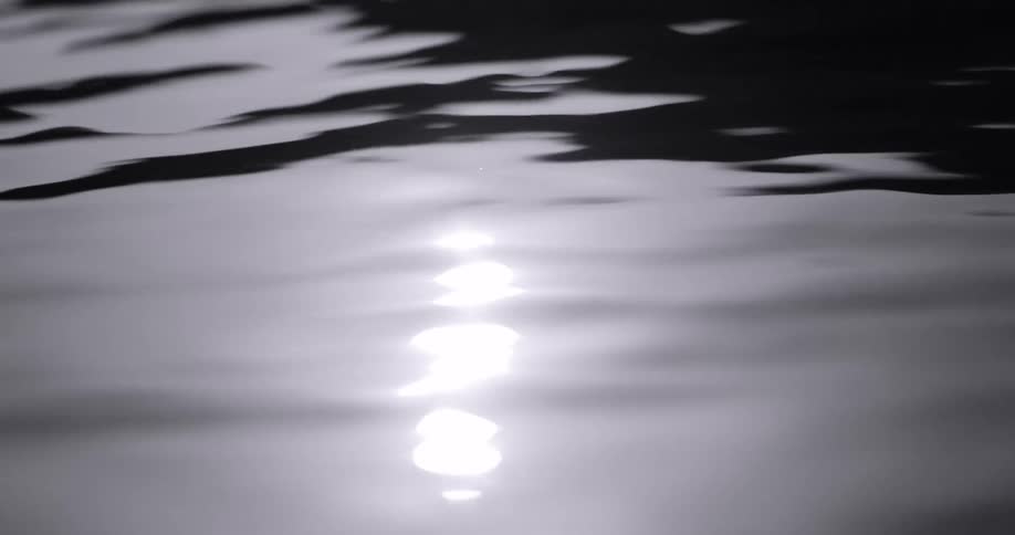 The surface of a body of water with small ripples and natural light reflecting off it