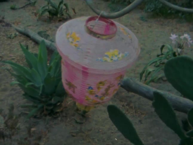 A bird feeder hanging from a steel frame swinging left and right in a garden