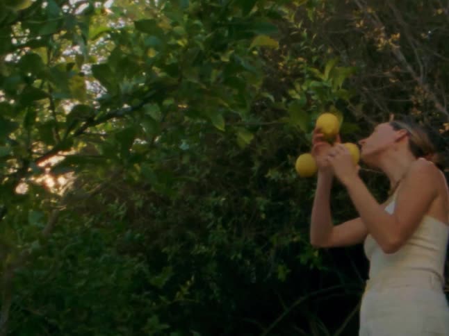 Woman picks citrus fruit from a tree on a sunny day