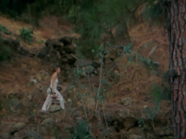 Person walks along a rocky trail through a dry and sparse forest
