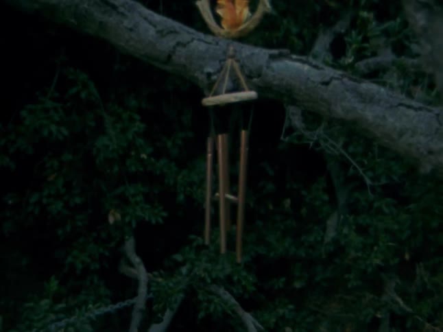 A wind chime is waving by the winds on outdoor and behind it there are some trees and the whole scene is in dark theme