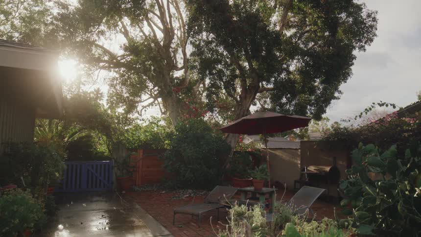 A sunny backyard features a large tree a red brick patio with lounge chairs and an umbrella and a blue gate on the left all bathed in warm sunlight