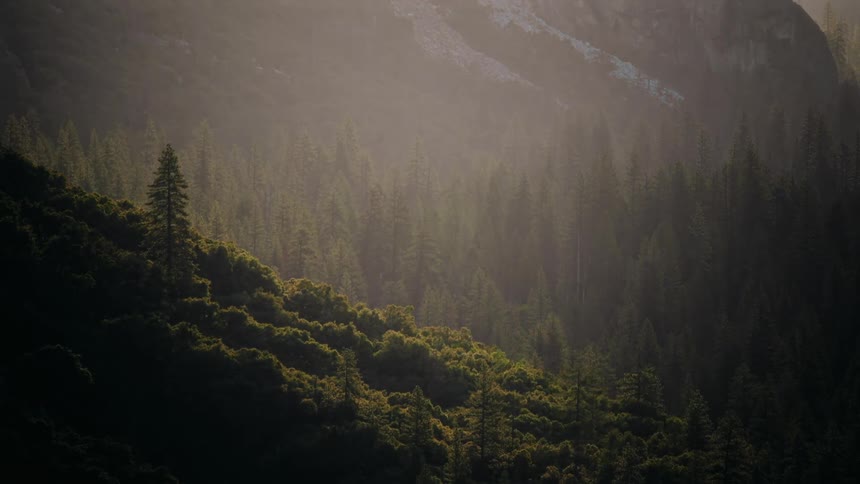 Clouds passing overhead cast shadows on a conifer forest and the surrounding mountains on a foggy winter day