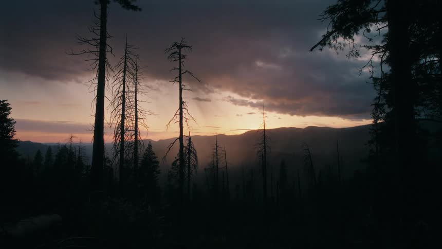 Tall thin trees stand silhouetted against a glowing horizon with distant mountains and a valley beneath a dramatic cloudstreaked sky