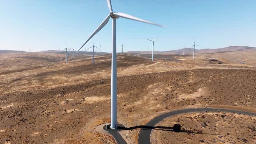 I see a wide shot of a wind farm in the desert under a clear bright sky