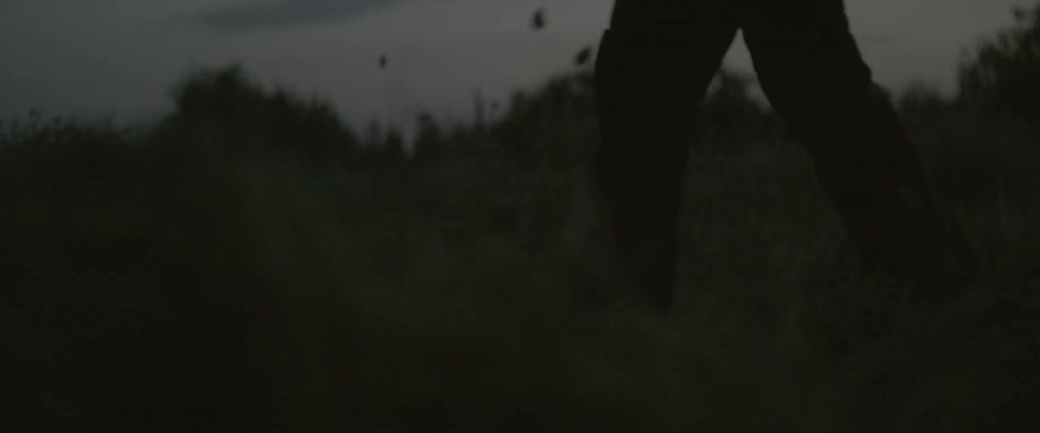 Person walking in grassy field at dusk