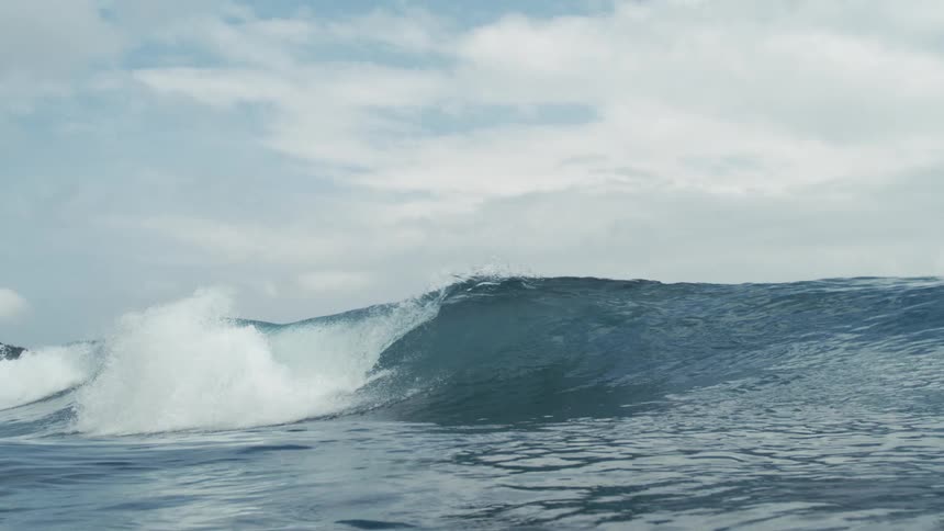 A large wave rises in the blue water