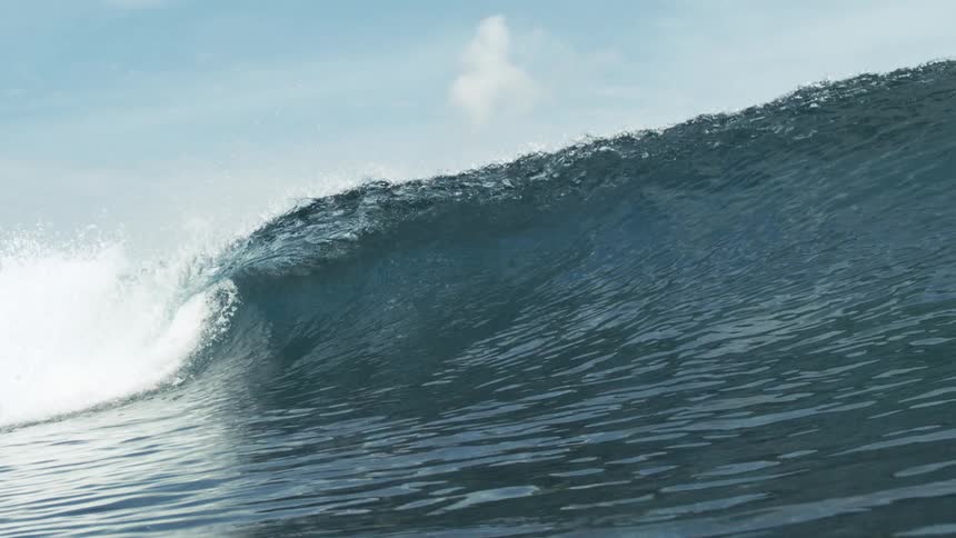 A large ocean wave rises and curls under a clear blue sky