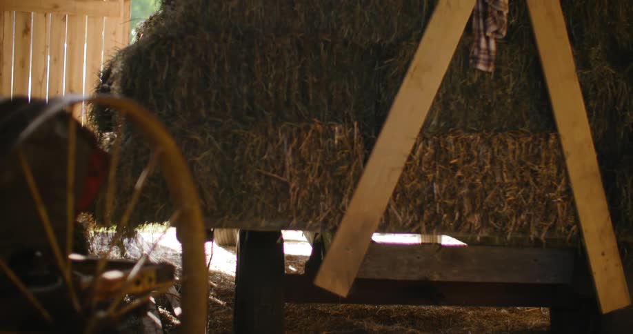 Interior of a barn with dry grass