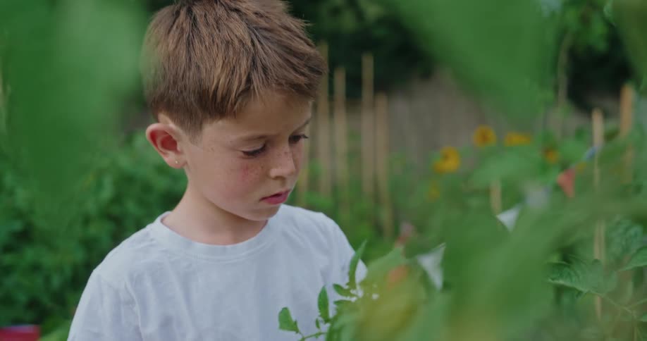 A young boy playing with a plant in a garden at midday