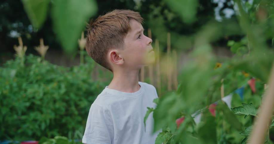 Boy in white tshirt looking around while standing in a vegetable garden