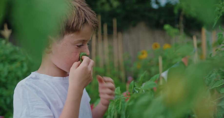 A child smells a leafy garden plant with curiosity and focus