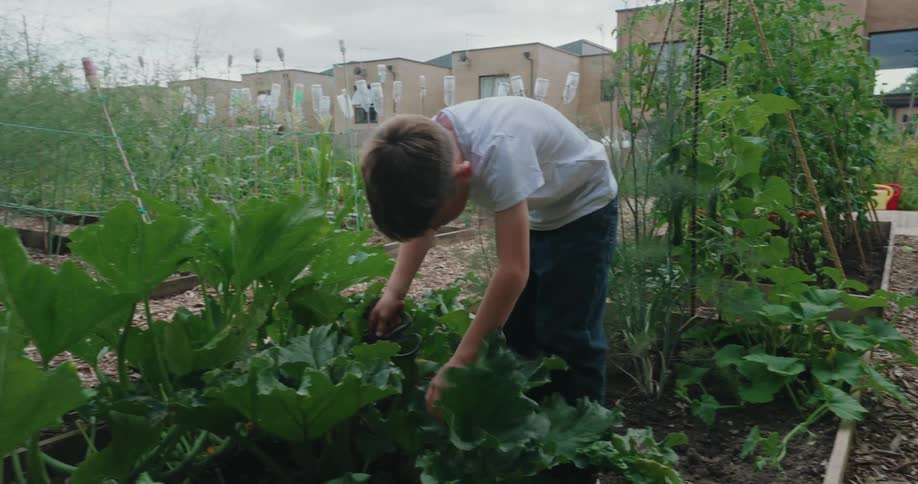 Boy walking in a vegetable garden with scissors